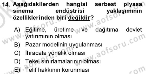 Medya Ekonomisi ve İşletmeciliği Dersi 2021 - 2022 Yılı Yaz Okulu Sınav Soruları 14. Soru