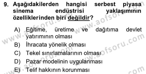 Medya Ekonomisi ve İşletmeciliği Dersi 2022 - 2023 Yılı Yaz Okulu Sınav Soruları 9. Soru
