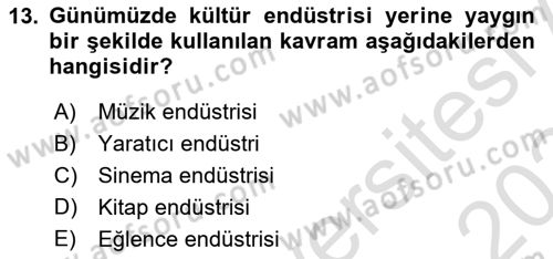 Medya Ekonomisi ve İşletmeciliği Dersi 2023 - 2024 Yılı (Final) Dönem Sonu Sınav Soruları 13. Soru