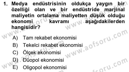 Medya Ekonomisi ve İşletmeciliği Dersi 2024 - 2025 Yılı (Vize) Ara Sınav Soruları 1. Soru