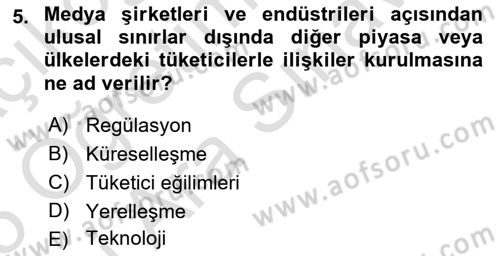 Medya Ekonomisi ve İşletmeciliği Dersi 2024 - 2025 Yılı (Vize) Ara Sınav Soruları 5. Soru