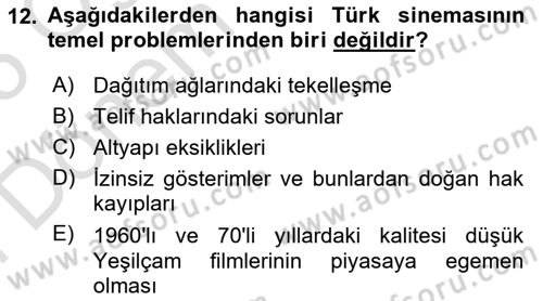 Medya Ekonomisi ve İşletmeciliği Dersi 2024 - 2025 Yılı (Final) Dönem Sonu Sınav Soruları 12. Soru