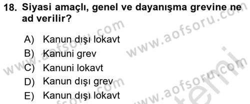 Medya Ekonomisi ve İşletmeciliği Dersi 2024 - 2025 Yılı (Final) Dönem Sonu Sınav Soruları 18. Soru