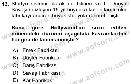 Medya Ekonomisi ve İşletmeciliği Dersi 2024 - 2025 Yılı Yaz Okulu Sınav Soruları 13. Soru