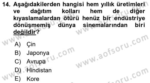 Medya Ekonomisi ve İşletmeciliği Dersi 2024 - 2025 Yılı Yaz Okulu Sınav Soruları 14. Soru