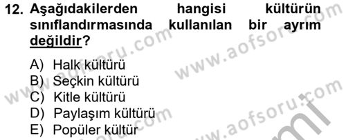 Medya Siyaset Kültür Dersi 2012 - 2013 Yılı (Final) Dönem Sonu Sınav Soruları 12. Soru