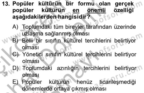 Medya Siyaset Kültür Dersi 2012 - 2013 Yılı (Final) Dönem Sonu Sınav Soruları 13. Soru