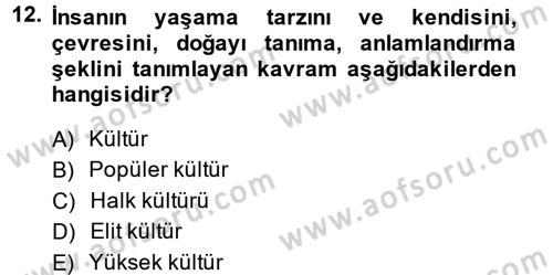 Medya Siyaset Kültür Dersi 2013 - 2014 Yılı (Final) Dönem Sonu Sınav Soruları 12. Soru