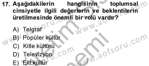 Medya Siyaset Kültür Dersi 2013 - 2014 Yılı (Final) Dönem Sonu Sınav Soruları 17. Soru