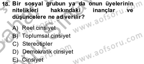 Medya Siyaset Kültür Dersi 2013 - 2014 Yılı (Final) Dönem Sonu Sınav Soruları 18. Soru