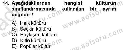 Medya Siyaset Kültür Dersi 2013 - 2014 Yılı Tek Ders Sınav Soruları 14. Soru