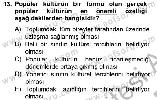 Medya Siyaset Kültür Dersi 2014 - 2015 Yılı (Final) Dönem Sonu Sınav Soruları 13. Soru