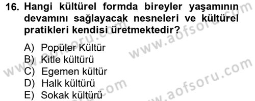 Medya Siyaset Kültür Dersi 2014 - 2015 Yılı (Final) Dönem Sonu Sınav Soruları 16. Soru