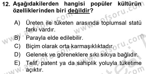 Medya Siyaset Kültür Dersi 2015 - 2016 Yılı (Final) Dönem Sonu Sınav Soruları 12. Soru