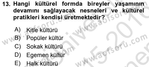 Medya Siyaset Kültür Dersi 2015 - 2016 Yılı (Final) Dönem Sonu Sınav Soruları 13. Soru
