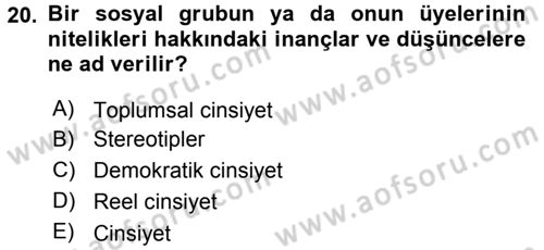Medya Siyaset Kültür Dersi 2015 - 2016 Yılı Tek Ders Sınav Soruları 20. Soru