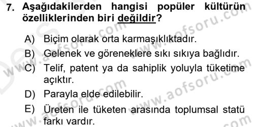 Medya Siyaset Kültür Dersi 2015 - 2016 Yılı Tek Ders Sınav Soruları 7. Soru