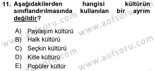 Medya Siyaset Kültür Dersi 2016 - 2017 Yılı 3 Ders Sınav Soruları 11. Soru