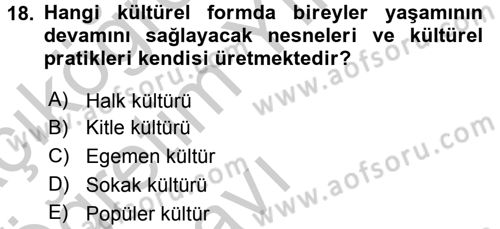 Medya Siyaset Kültür Dersi 2016 - 2017 Yılı 3 Ders Sınav Soruları 18. Soru