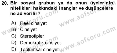 Medya Siyaset Kültür Dersi 2016 - 2017 Yılı 3 Ders Sınavı 20. Soru