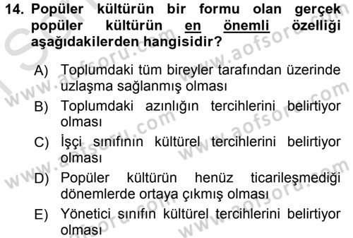 Medya Siyaset Kültür Dersi 2016 - 2017 Yılı (Final) Dönem Sonu Sınav Soruları 14. Soru