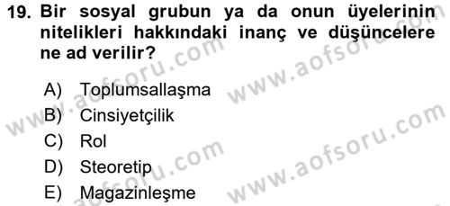 Medya Siyaset Kültür Dersi 2016 - 2017 Yılı (Final) Dönem Sonu Sınav Soruları 19. Soru