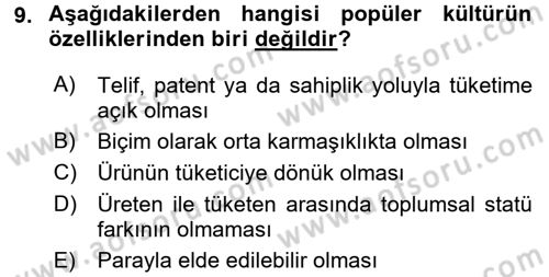 Medya Siyaset Kültür Dersi 2016 - 2017 Yılı (Final) Dönem Sonu Sınav Soruları 9. Soru