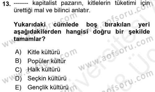 Medya Siyaset Kültür Dersi 2017 - 2018 Yılı 3 Ders Sınav Soruları 13. Soru