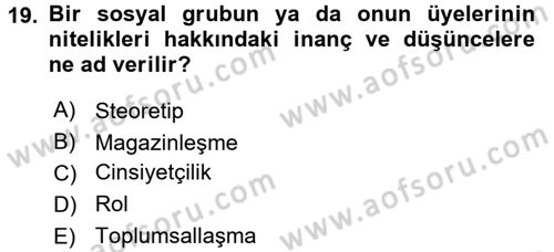 Medya Siyaset Kültür Dersi 2017 - 2018 Yılı 3 Ders Sınavı 19. Soru