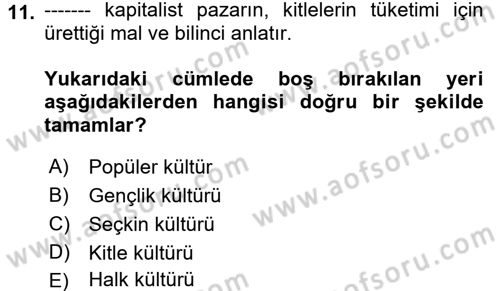Medya Siyaset Kültür Dersi 2017 - 2018 Yılı (Final) Dönem Sonu Sınav Soruları 11. Soru