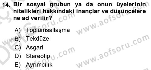 Medya Siyaset Kültür Dersi 2018 - 2019 Yılı 3 Ders Sınav Soruları 14. Soru