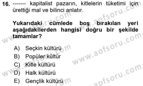 Medya Siyaset Kültür Dersi 2018 - 2019 Yılı 3 Ders Sınav Soruları 16. Soru