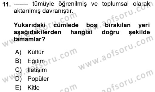 Medya Siyaset Kültür Dersi 2018 - 2019 Yılı (Final) Dönem Sonu Sınav Soruları 11. Soru