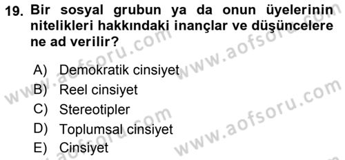 Medya Siyaset Kültür Dersi 2018 - 2019 Yılı Yaz Okulu Sınav Soruları 19. Soru