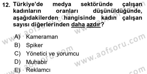 Medya Siyaset Kültür Dersi 2021 - 2022 Yılı Yaz Okulu Sınav Soruları 12. Soru
