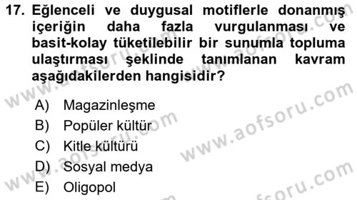 Medya Siyaset Kültür Dersi 2022 - 2023 Yılı Yaz Okulu Sınav Soruları 17. Soru