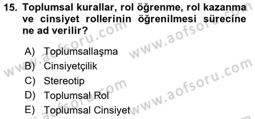 Medya Siyaset Kültür Dersi 2023 - 2024 Yılı Yaz Okulu Sınav Soruları 15. Soru
