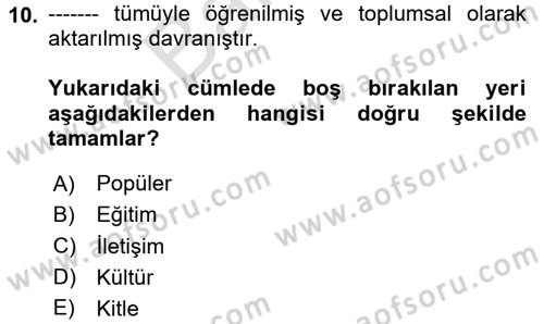 Medya Siyaset Kültür Dersi 2024 - 2025 Yılı (Final) Dönem Sonu Sınav Soruları 10. Soru