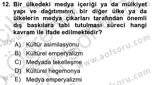 Medya Siyaset Kültür Dersi 2024 - 2025 Yılı (Final) Dönem Sonu Sınav Soruları 12. Soru