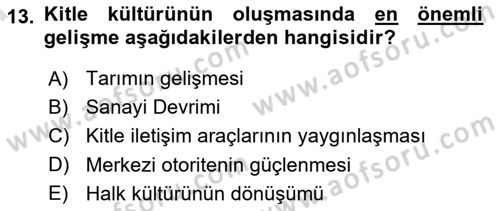 Medya Siyaset Kültür Dersi 2024 - 2025 Yılı (Final) Dönem Sonu Sınav Soruları 13. Soru
