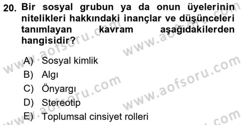Medya Siyaset Kültür Dersi 2024 - 2025 Yılı (Final) Dönem Sonu Sınav Soruları 20. Soru