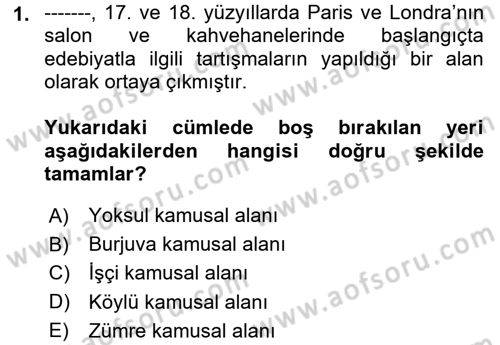 Medya Siyaset Kültür Dersi 2024 - 2025 Yılı Yaz Okulu Sınav Soruları 1. Soru