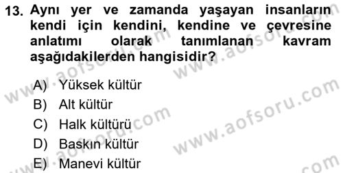 Medya Siyaset Kültür Dersi 2024 - 2025 Yılı Yaz Okulu Sınav Soruları 13. Soru