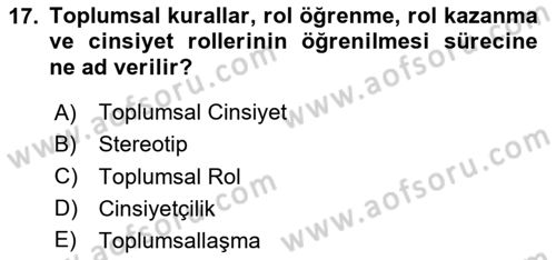 Medya Siyaset Kültür Dersi 2024 - 2025 Yılı Yaz Okulu Sınav Soruları 17. Soru