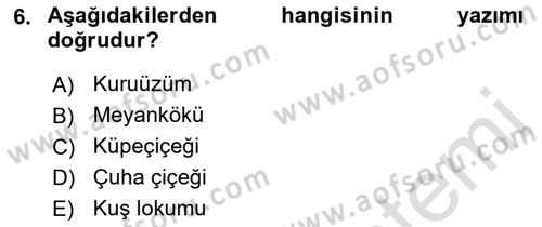 Medyada Dil Kullanımı Dersi 2019 - 2020 Yılı (Vize) Ara Sınav Soruları 6. Soru