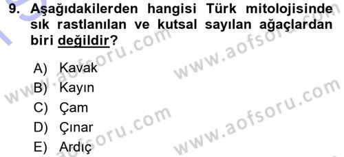 Mitoloji ve Din Dersi 2015 - 2016 Yılı (Final) Dönem Sonu Sınav Soruları 9. Soru