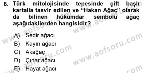Mitoloji ve Din Dersi 2016 - 2017 Yılı (Final) Dönem Sonu Sınav Soruları 8. Soru