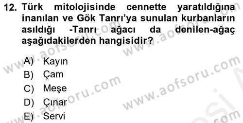 Mitoloji ve Din Dersi 2017 - 2018 Yılı (Final) Dönem Sonu Sınav Soruları 12. Soru