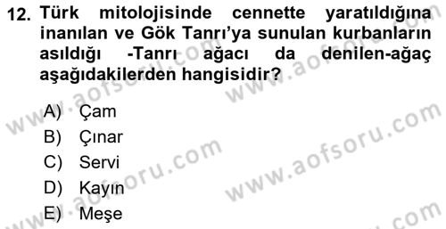 Mitoloji ve Din Dersi 2018 - 2019 Yılı Yaz Okulu Sınav Soruları 12. Soru