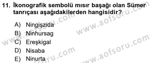 Mitoloji ve Din Dersi 2022 - 2023 Yılı (Vize) Ara Sınav Soruları 11. Soru